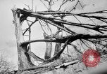 Immagine di La Bomba atomica danno in Hiroshima Hiroshima Giappone, 1945, secondo 23 filmato di repertorio 65675046528