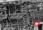 Immagine di Nagasaki bomba atomica danno sciopero Nagasaki Giappone, 1945, secondo 44 filmato di repertorio 65675046540