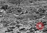 Image Ground zero point de la bombe atomique à Nagasaki Nagasaki au Japon, 1945, de la seconde 25 séquences d'archives historiques vidéo 65675046541