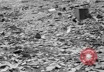 Image Ground zero point de la bombe atomique à Nagasaki Nagasaki au Japon, 1945, de la seconde 35 séquences d'archives historiques vidéo 65675046541