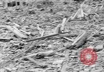 Image Ground zero point de la bombe atomique à Nagasaki Nagasaki au Japon, 1945, de la seconde 40 séquences d'archives historiques vidéo 65675046541