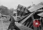 Image ville dommages après bombe atomique grève Nagasaki au Japon, 1945, de la seconde 42 séquences d'archives historiques vidéo 65675046543