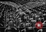 Immagine di Tse Ven Soong United States USA, 1945, secondo 15 filmato di repertorio 65675046547