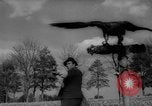 Immagine di La Falconeria Austria Foresta Nera, 1959, secondo 14 filmato di repertorio 65675046563