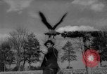 Immagine di La Falconeria Austria Foresta Nera, 1959, secondo 15 filmato di repertorio 65675046563