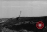 Immagine di La Falconeria Austria Foresta Nera, 1959, secondo 36 filmato di repertorio 65675046563