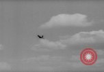 Immagine di La Falconeria Austria Foresta Nera, 1959, secondo 40 filmato di repertorio 65675046563