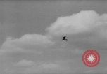 Immagine di La Falconeria Austria Foresta Nera, 1959, secondo 42 filmato di repertorio 65675046563