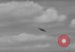 Immagine di La Falconeria Austria Foresta Nera, 1959, secondo 43 filmato di repertorio 65675046563