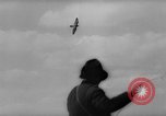 Immagine di La Falconeria Austria Foresta Nera, 1959, secondo 50 filmato di repertorio 65675046563