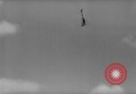 Immagine di La Falconeria Austria Foresta Nera, 1959, secondo 52 filmato di repertorio 65675046563