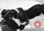 Immagine di La Falconeria Austria Foresta Nera, 1959, secondo 59 filmato di repertorio 65675046563