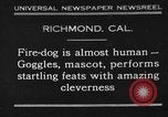 Image of fire dog Richmond California USA, 1930, second 1 stock footage video 65675046582