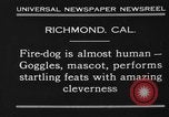 Image of fire dog Richmond California USA, 1930, second 3 stock footage video 65675046582