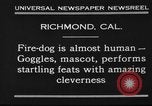 Image of fire dog Richmond California USA, 1930, second 6 stock footage video 65675046582