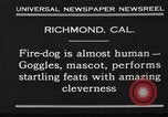 Image of fire dog Richmond California USA, 1930, second 9 stock footage video 65675046582