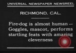 Image of fire dog Richmond California USA, 1930, second 10 stock footage video 65675046582