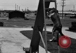 Image of fire dog Richmond California USA, 1930, second 48 stock footage video 65675046582