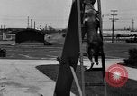 Image of fire dog Richmond California USA, 1930, second 50 stock footage video 65675046582
