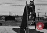 Image of fire dog Richmond California USA, 1930, second 53 stock footage video 65675046582