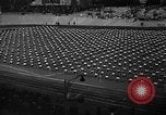 Image of Magyar Festival Budapest Hungary, 1930, second 56 stock footage video 65675046584