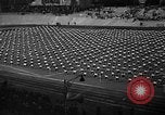 Image of Magyar Festival Budapest Hungary, 1930, second 57 stock footage video 65675046584