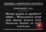 Image of Wisconsin prize cow Chicago Illinois USA, 1930, second 7 stock footage video 65675046587