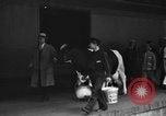 Image of Wisconsin prize cow Chicago Illinois USA, 1930, second 21 stock footage video 65675046587