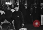 Image of Wisconsin prize cow Chicago Illinois USA, 1930, second 39 stock footage video 65675046587
