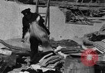 Image of Firemen rescue victims New York United States USA, 1930, second 57 stock footage video 65675046588