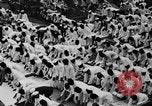 Standbild feiert gedenken Kalkutta Indien, 1930, aus Sekunde 28 historischem Filmmaterial Videoclip 65675046589