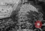 Image of Charles de Gaulle Algiers Algeria, 1958, second 7 stock footage video 65675046604