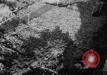 Image of Charles de Gaulle Algiers Algeria, 1958, second 10 stock footage video 65675046604