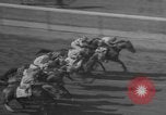 Image course de chevaux Elmont New York USA, 1958, de la seconde 12 séquences d'archives historiques vidéo 65675046608