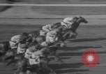 Image course de chevaux Elmont New York USA, 1958, de la seconde 14 séquences d'archives historiques vidéo 65675046608