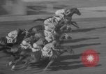 Image course de chevaux Elmont New York USA, 1958, de la seconde 15 séquences d'archives historiques vidéo 65675046608