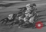 Image course de chevaux Elmont New York USA, 1958, de la seconde 16 séquences d'archives historiques vidéo 65675046608