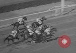 Image course de chevaux Elmont New York USA, 1958, de la seconde 19 séquences d'archives historiques vidéo 65675046608