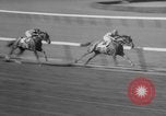 Image course de chevaux Elmont New York USA, 1958, de la seconde 47 séquences d'archives historiques vidéo 65675046608