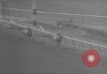 Image course de chevaux Elmont New York USA, 1958, de la seconde 49 séquences d'archives historiques vidéo 65675046608