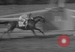Image course de chevaux Elmont New York USA, 1958, de la seconde 61 séquences d'archives historiques vidéo 65675046608