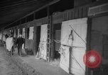 Standbild Pferd Kelso Laurel Maryland USA, 1964, aus Sekunde 1 historischem Filmmaterial Videoclip 65675046614