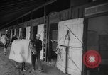 Standbild Pferd Kelso Laurel Maryland USA, 1964, aus Sekunde 4 historischem Filmmaterial Videoclip 65675046614