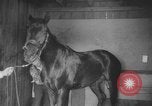 Standbild Pferd Kelso Laurel Maryland USA, 1964, aus Sekunde 9 historischem Filmmaterial Videoclip 65675046614