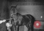 Standbild Pferd Kelso Laurel Maryland USA, 1964, aus Sekunde 10 historischem Filmmaterial Videoclip 65675046614