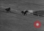 Standbild Pferd Kelso Laurel Maryland USA, 1964, aus Sekunde 16 historischem Filmmaterial Videoclip 65675046614