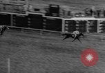 Standbild Pferd Kelso Laurel Maryland USA, 1964, aus Sekunde 23 historischem Filmmaterial Videoclip 65675046614
