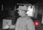 Standbild Pferd Kelso Laurel Maryland USA, 1964, aus Sekunde 31 historischem Filmmaterial Videoclip 65675046614