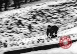 Image of winter olympics Innsbruck Austria, 1964, second 48 stock footage video 65675046616