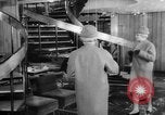 Immagine di Sfilata di moda Budapest Ungheria, 1966, secondo 40 filmato di repertorio 65675046620